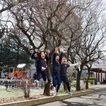 青叶-日本国际学校的学生在樱花树下跳跃