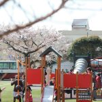 青叶-日本国际学校的游乐场