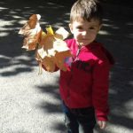 杜尚别国际学校的小男孩拿着树叶
