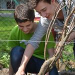 德累斯顿国际学校的学生在室外种树