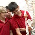 胡志明市德国国际学校的学生观察人体骨架模型