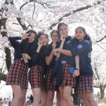 庆南国际外国学校的学生在樱花树下